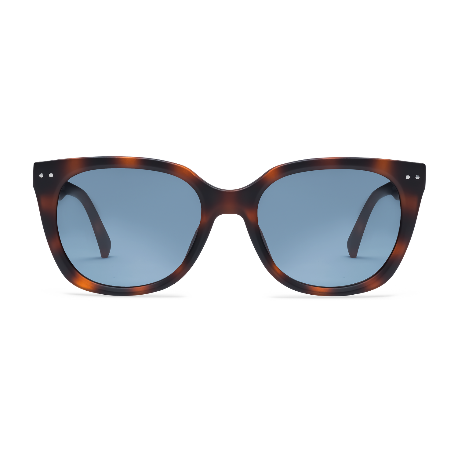 evita_evita-sun_tortoise_001_1500x.png