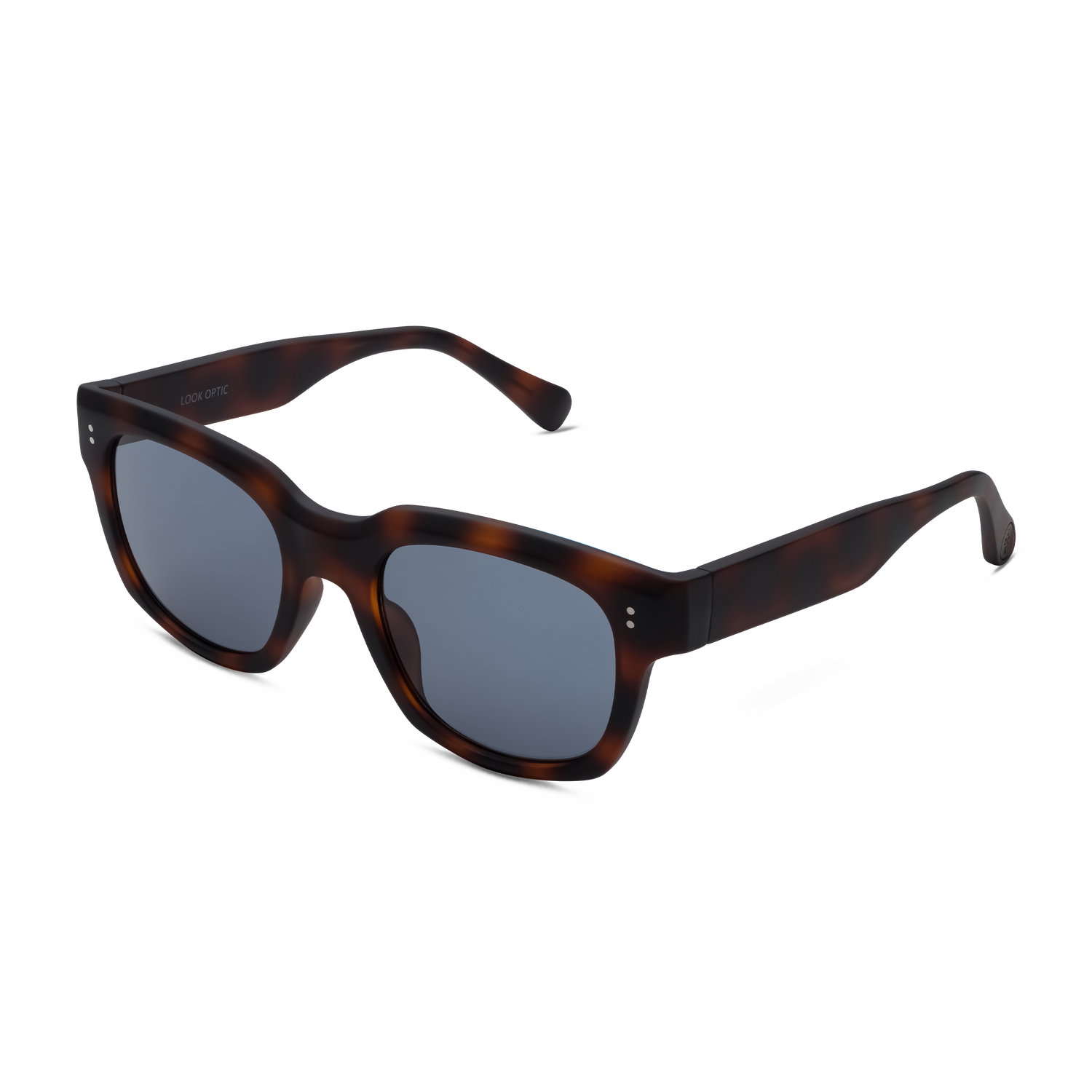 kaine_kaine-sun_tortoise_002_1500x.png