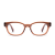 Shiny Cinnamon