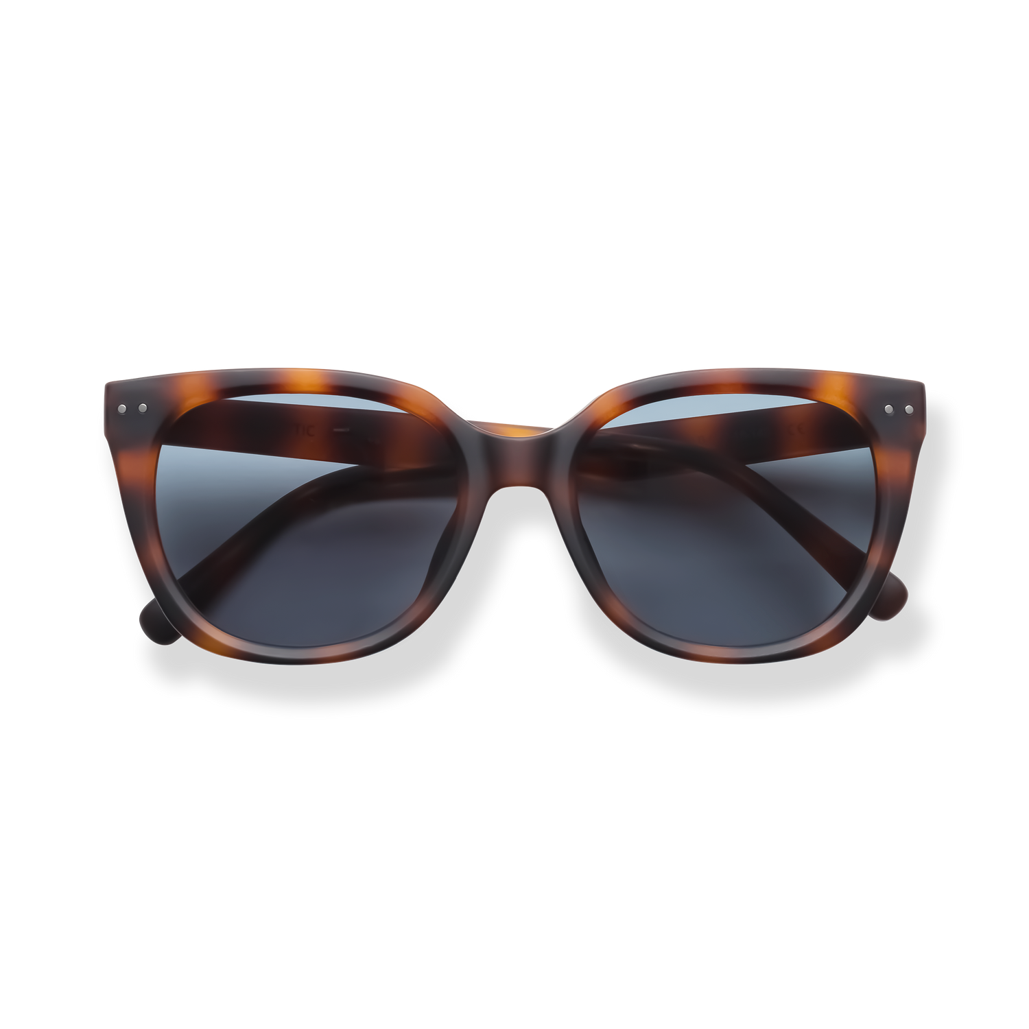 layflat__evita-sun_tortoise_1500x.png